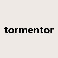 tormentor是什么意思