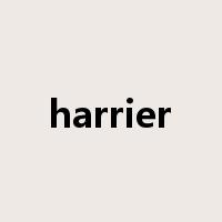 harrier是什么意思