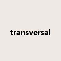 transversal是什么意思