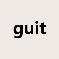 guit是什么意思