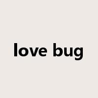 love bug是什么意思