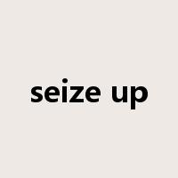 seize up是什么意思