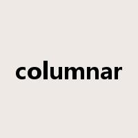 columnar是什么意思