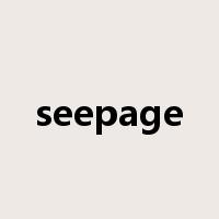 seepage是什么意思