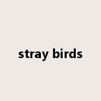 stray birds是什么意思