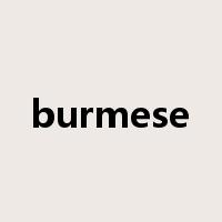 burmese是什么意思