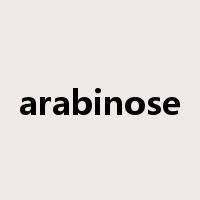 arabinose是什么意思