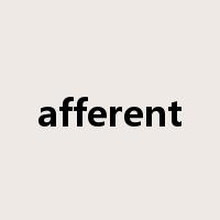 afferent是什么意思