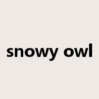 snowy owl是什么意思