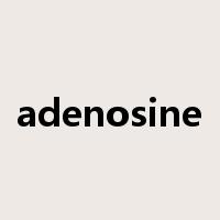 adenosine是什么意思