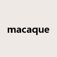 macaque是什么意思