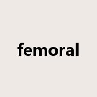 femoral是什么意思