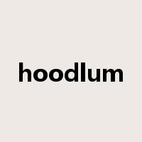 hoodlum是什么意思