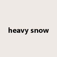 heavy snow是什么意思