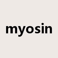 myosin是什么意思