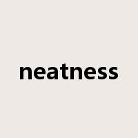 neatness是什么意思