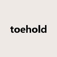 toehold是什么意思