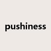 pushiness是什么意思