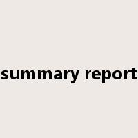 summary report是什么意思