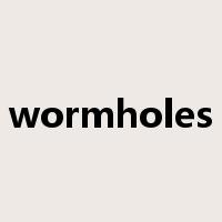 wormholes是什么意思
