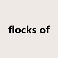 flocks of是什么意思