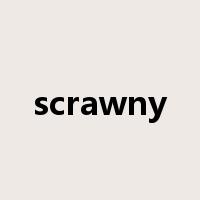 scrawny是什么意思