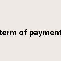 term of payment是什么意思