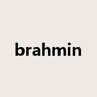 brahmin是什么意思
