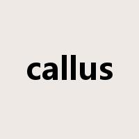 callus是什么意思