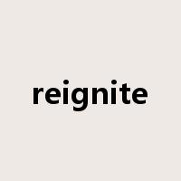 reignite是什么意思