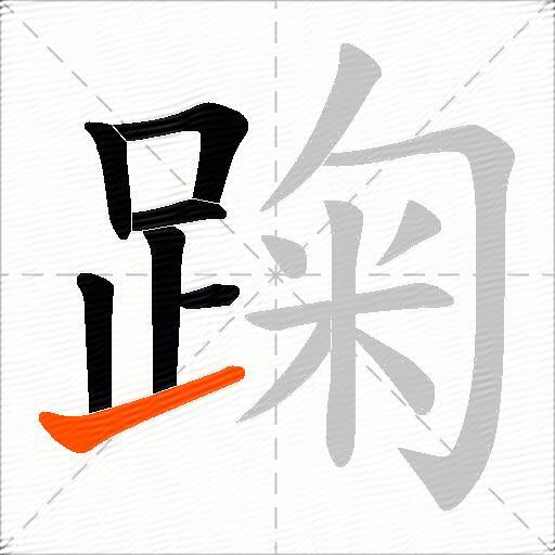 踘