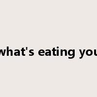 what's eating you是什么意思