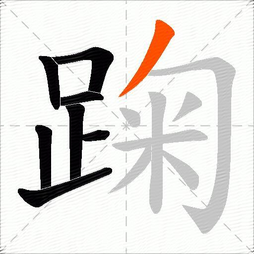 踘
