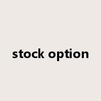 stock option是什么意思