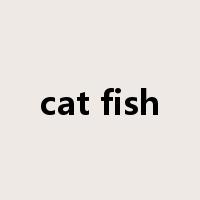 cat fish是什么意思
