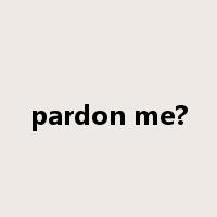 pardon me?是什么意思