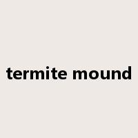 termite mound是什么意思
