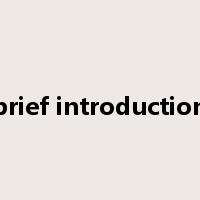 brief introduction是什么意思