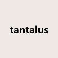 tantalus是什么意思