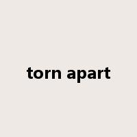 torn apart是什么意思