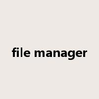 file manager是什么意思