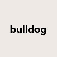 bulldog是什么意思