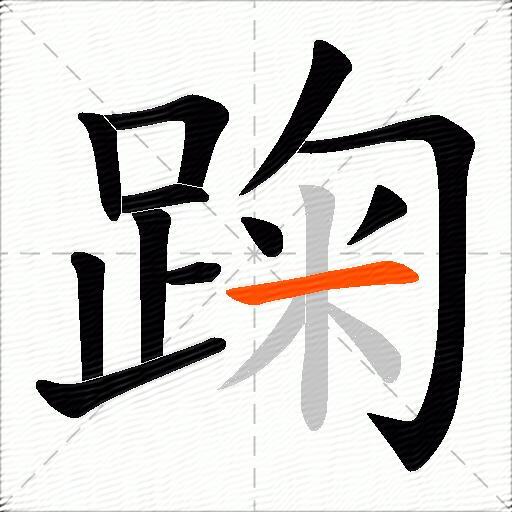 踘