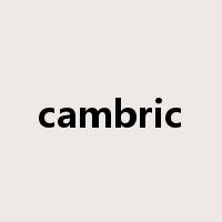 cambric是什么意思