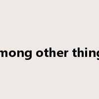 among other things是什么意思