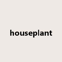 houseplant是什么意思