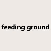 feeding ground是什么意思