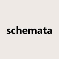 schemata是什么意思