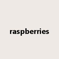raspberries是什么意思