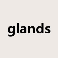 glands是什么意思